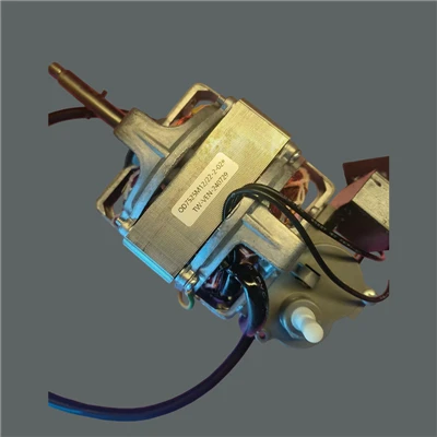 ENFASES ASYNKRONMOTOR