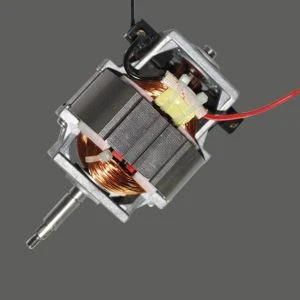 Coffee Mill Motor