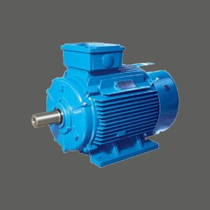 Industrielle Blender motorer