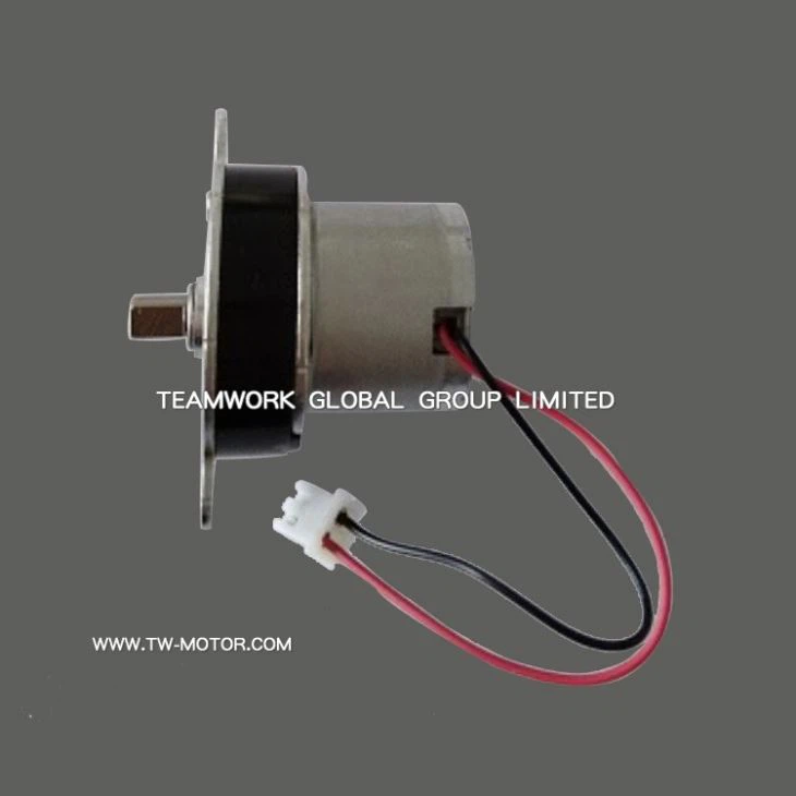 Spur Gearbox Motor