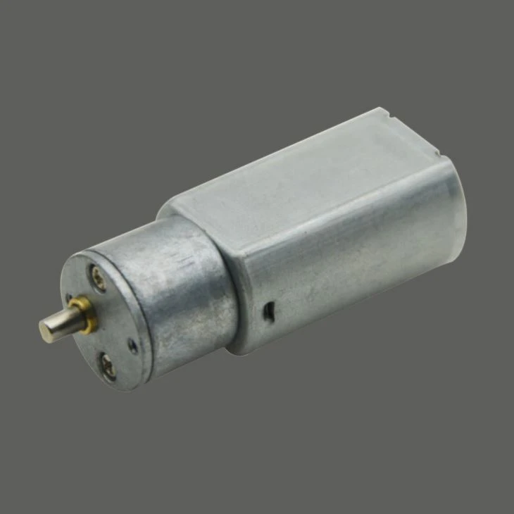 Orm gear motor