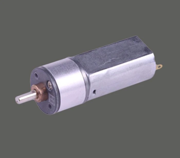 Kina 24v Gear Motor Factory