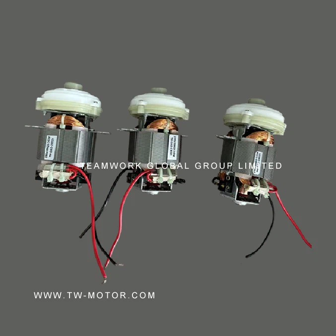 Mini Blender Motor