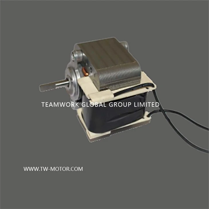 Small Oil Pump Motor